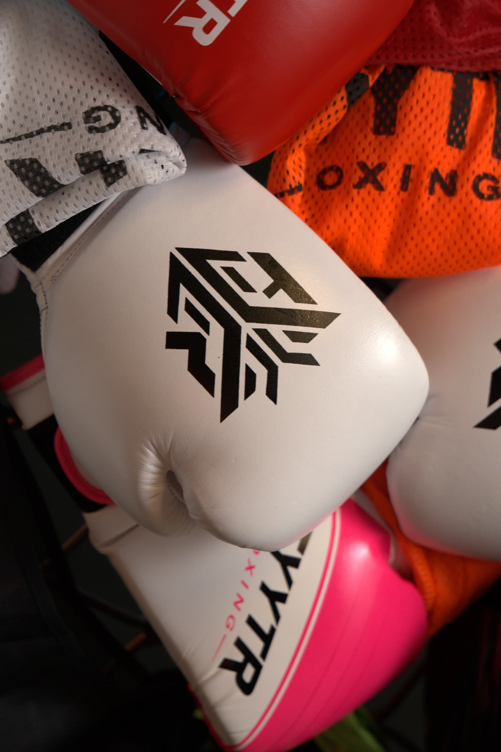 Pro Boxing Gloves